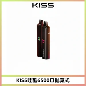 KIS5WAGOO哇酷6500口拋棄式 | 自由混搭雙口味 | 雙芯組合